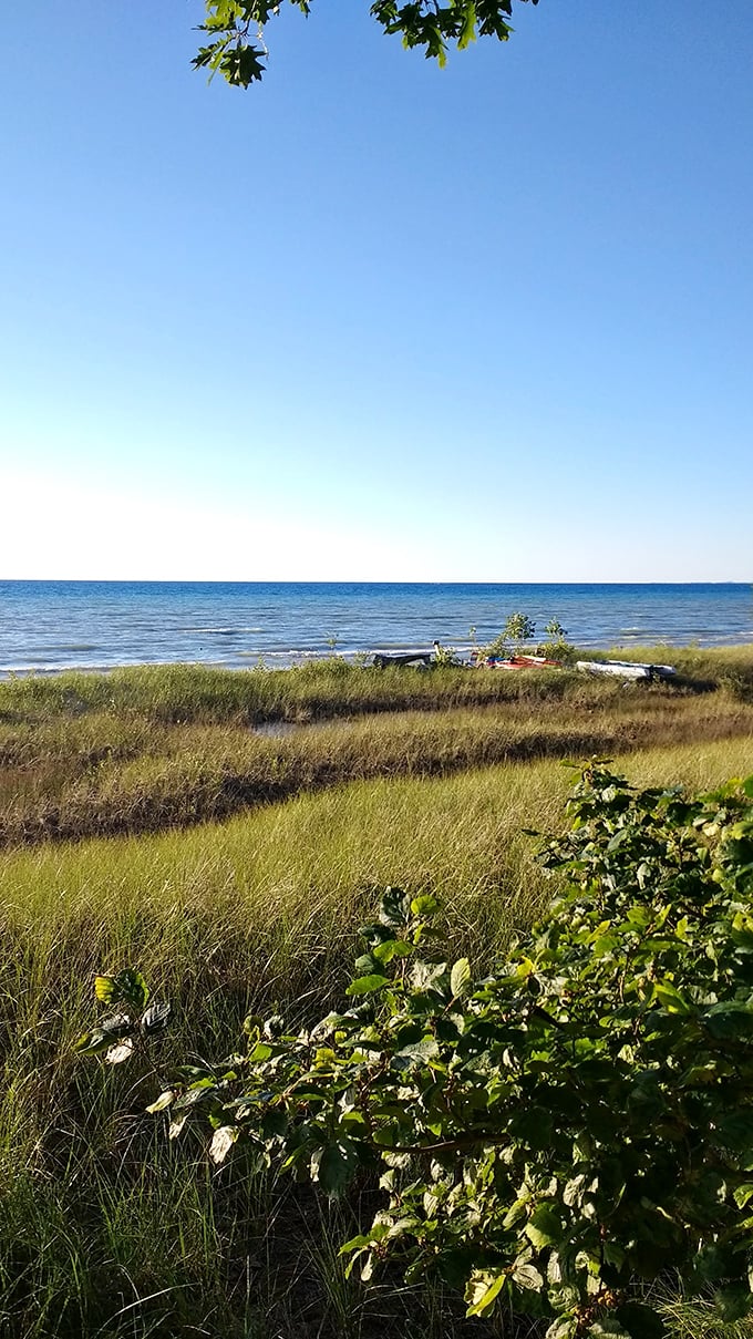 Lake Breeze Nature Preserve: Where the grass is always greener, the lake is always bluer, and your worries are always smaller.