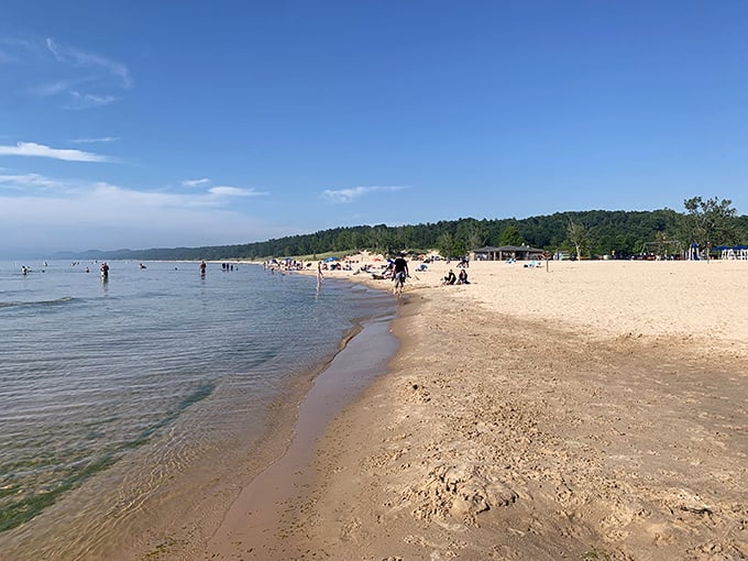 Mears State Park: Nature's answer to the question, "What if we combined a beach, a forest, and pure joy?"