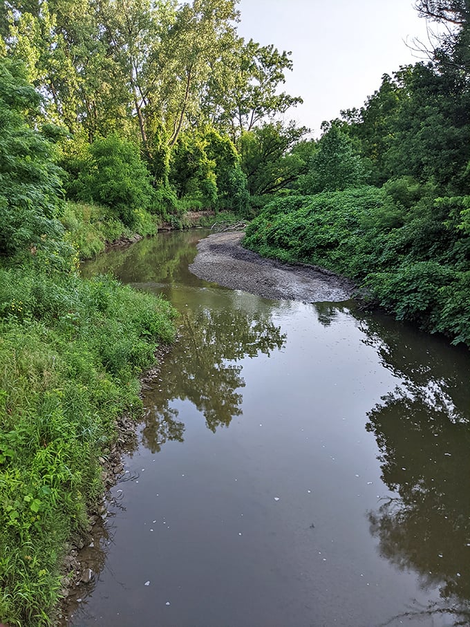 Meandering like Monday morning thoughts, this stream carves its own path through the greenery. Nature's version of "go with the flow".