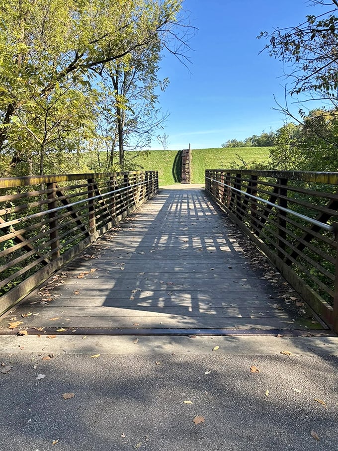 Bridge over untroubled water. This wooden walkway is inviting you for a stroll more tempting than a plate of fresh cookies.