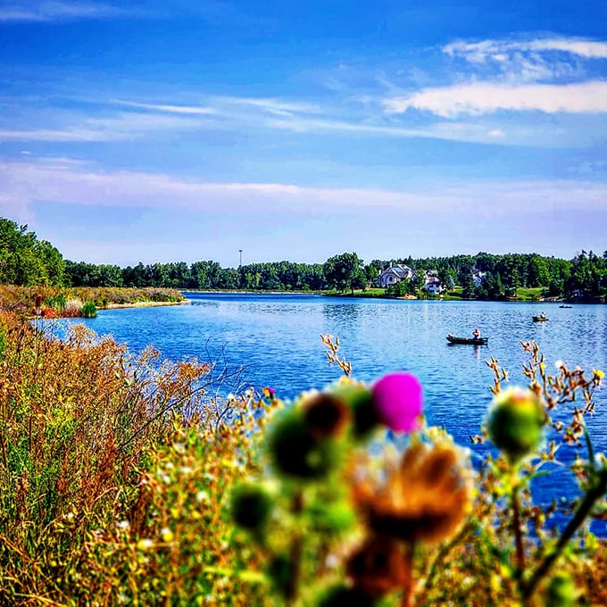 Row, row, row your boat... or just sit back and enjoy the view. This lake's as inviting as a pool on a hot summer day.