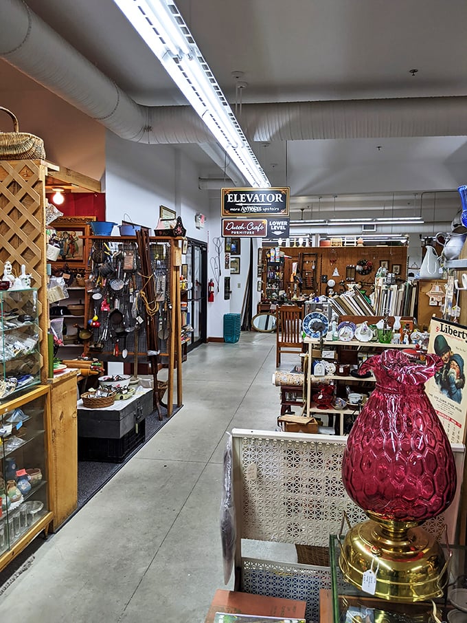 Imagine if your grandma's attic and a museum had a baby. That's the vibe here, complete with an "Elevator" sign that's probably older than the elevator itself.