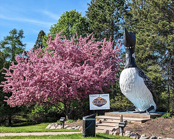 Spring has sprung, and Claire's got front-row seats! This loon's eye view of cherry blossoms is pure Wisconsin magic.