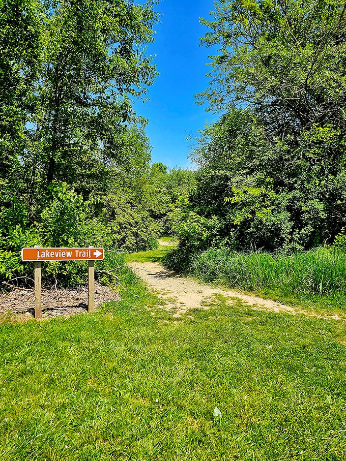 The path less traveled: Lakeview Trail beckons with promises of scenic vistas and potential Bigfoot sightings. Pack your sense of wonder (and maybe some trail mix)!