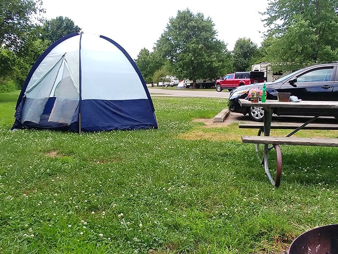 Home sweet dome: This cozy tent setup proves you don't need a five-star hotel for a five-star experience. It's camping with a side of comfort!