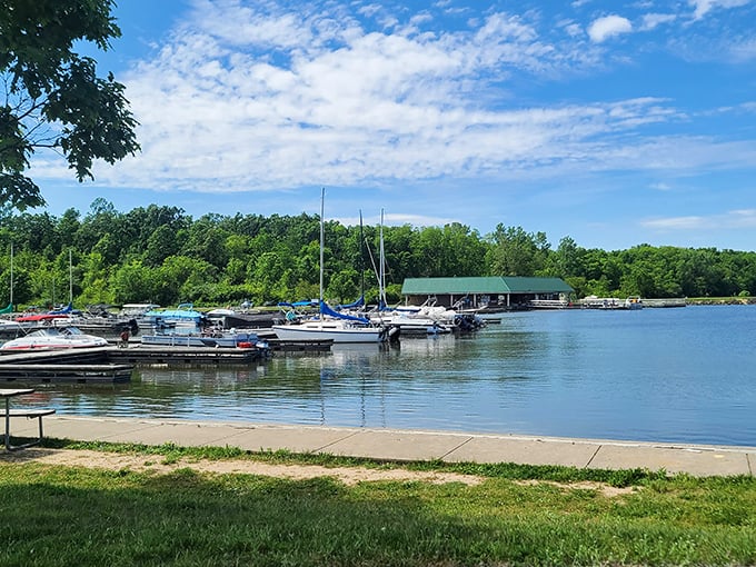 Sail away: These boats aren't just floating – they're gateways to aquatic adventures. Who needs a cruise ship when you've got this flotilla?