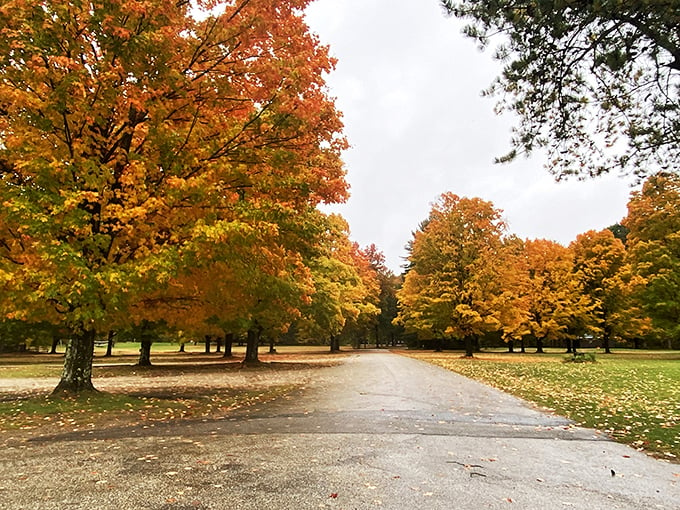 Autumn in Vermont: When Mother Nature decides to repaint the landscape using every warm color in her palette.