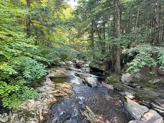 This babbling brook is nature's version of a spa day. Close your eyes, and you might mistake it for a high-end sound machine.