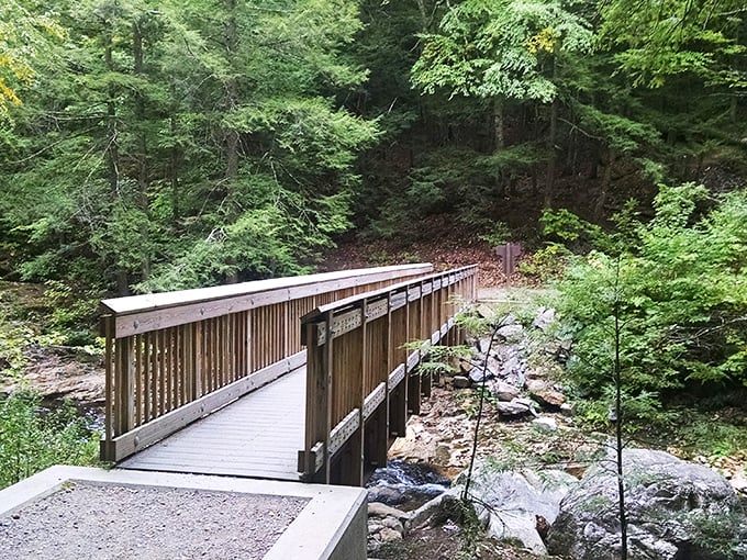 This bridge isn't just crossing a stream; it's bridging the gap between you and your inner woodland sprite.