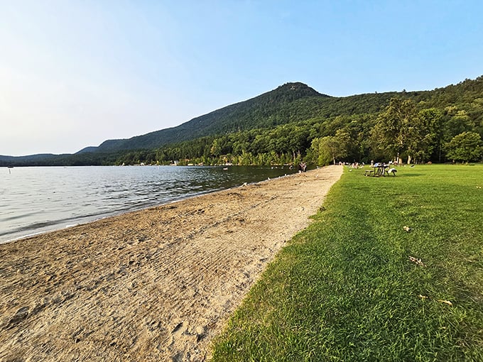 Sand meets grass in a perfect harmony. It's like nature's version of a mullet - business in the front, party in the back.