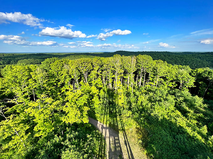 Who needs Everest? Timm's Hill offers breathtaking views that'll make you feel on top of the world – Wisconsin style!