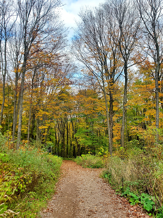 Follow the yellow brick... er, dirt road! This trail promises adventure without the flying monkeys.