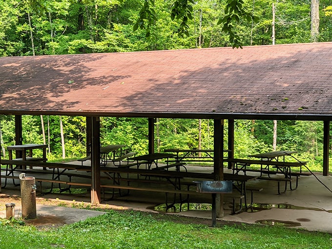 Picnic paradise! This spot is so perfect, even the ants would RSVP to your outdoor feast.