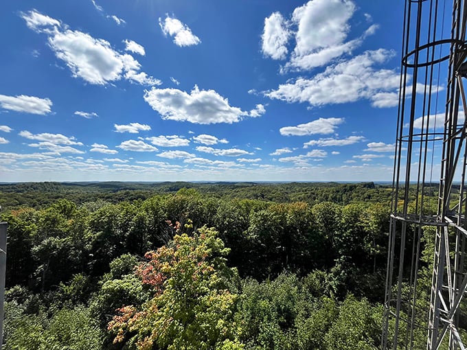 Green as far as the eye can see! It's like someone spilled a giant bottle of chlorophyll over Wisconsin.