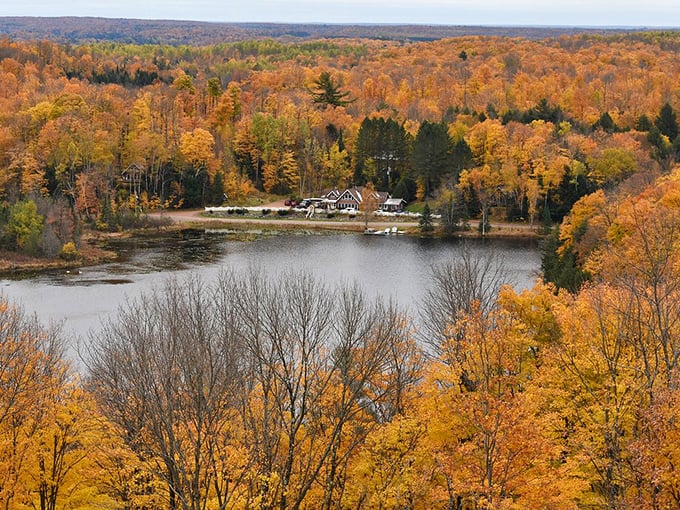 Nature's confetti celebration! Autumn in Wisconsin – where every tree is trying to outdo the next in fabulousness.