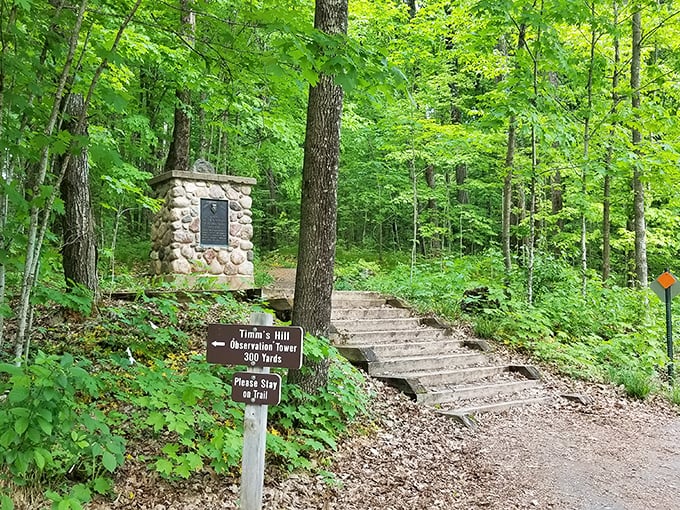 "Timm's Hill or bust!" This sign is your official invitation to conquer Wisconsin's not-so-mean streets... er, trails.