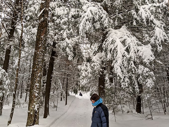 Winter wonderland alert! Timm's Hill in snow is like stepping into Narnia, minus the talking animals and evil witch.