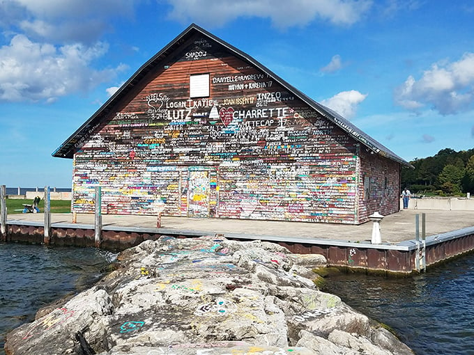 The Hardy Gallery: where graffiti meets fine art. This weathered boathouse proves that sometimes, the most beautiful canvases are the ones that have weathered a few storms.