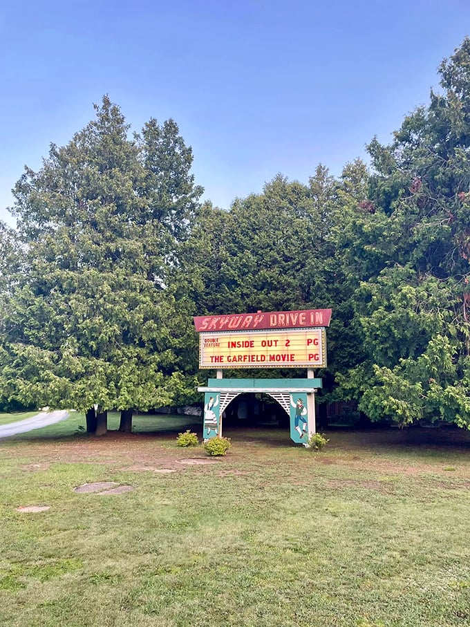 The Skyway Drive-In: where nostalgia meets modern blockbusters. Grab your popcorn and prepare for a double feature of timeless charm and silver screen magic.