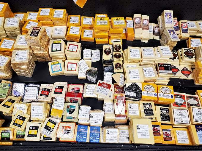 A smorgasbord of samples that would make even the Mona Lisa smile. Here, 'Say Cheese!' takes on a whole new meaning.