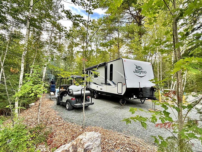 RV sweet RV! Nestled in nature's embrace, this spot's perfect for those who like their wilderness with a side of Wi-Fi and air conditioning.