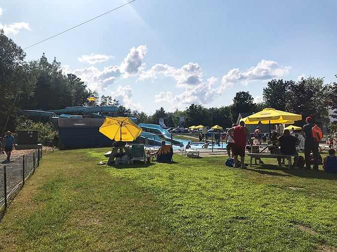 Umbrellas out, fun's in! This scene's got more color than a bag of Skittles and twice the excitement.