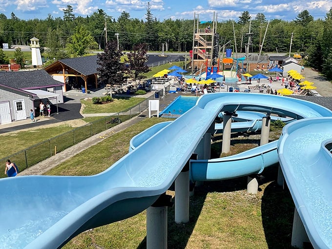 Bird's eye bliss! From up here, it's all water slides and good vibes. Talk about a view that makes your heart do a happy dance!