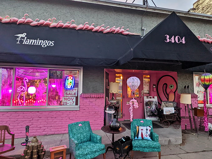 Forget the fountain of youth – Flamingo's is the boutique of eternal style! Retro charm meets contemporary cool. 