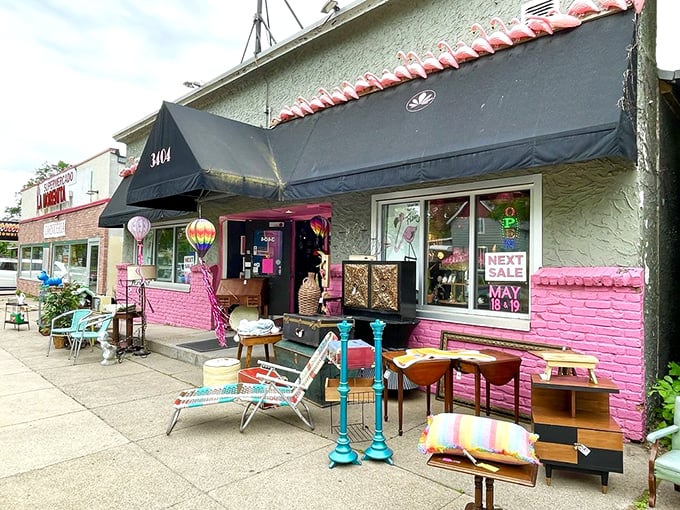 Pink paradise alert! Flamingo's is where vintage vibes and modern flair throw the coolest party in town. 