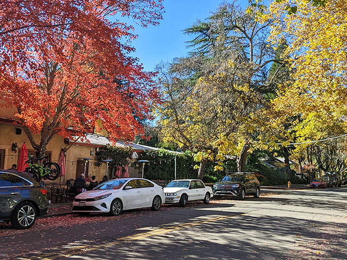 Fall in Calistoga: Where the trees put on a show that rivals any Broadway production. Leaf it to nature to outdo itself.