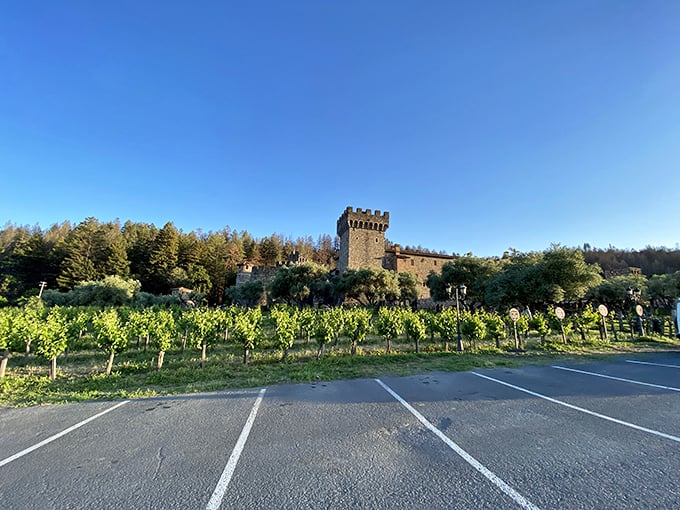 Castello di Amorosa: Because nothing says 