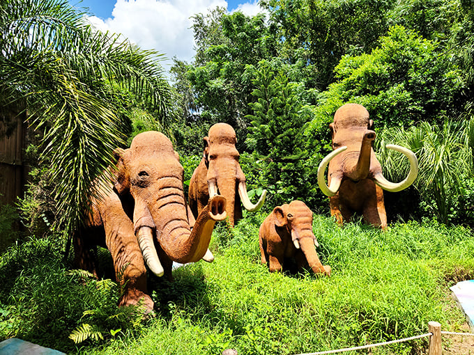 Mammoth meetup! These prehistoric pals are having a trunk-tastic time in the Florida sun.