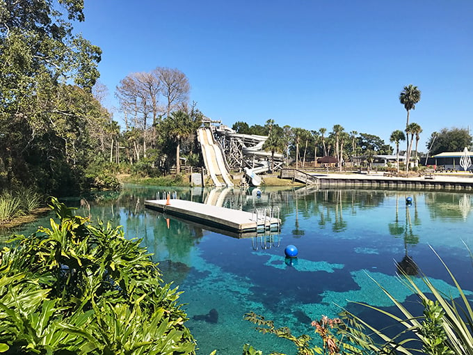 Splash-tacular show! Weeki Wachee's aquatic acrobats bring underwater magic to life.