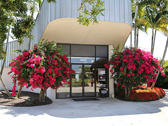 Petal paradise! Butterfly World's entrance is blooming with more color than a crayon factory explosion.