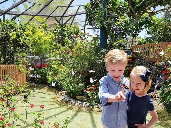 Flutter fantasy! This magical conservatory is like stepping into a living, breathing rainbow.