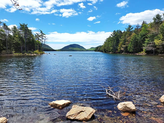 Misty mountains, eerie forests, and that unmistakable feeling you're in a Stephen King novel. Welcome to Acadia!