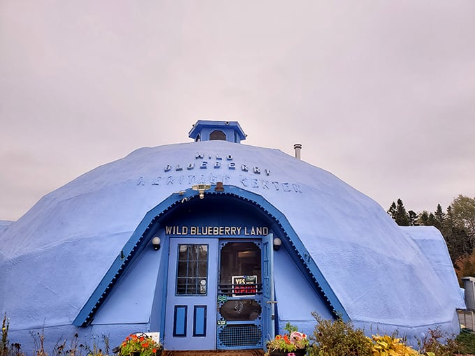 Step into a world where blueberries reign supreme. It's as if Willy Wonka decided to go on a health kick and opened a fruit-themed wonderland.