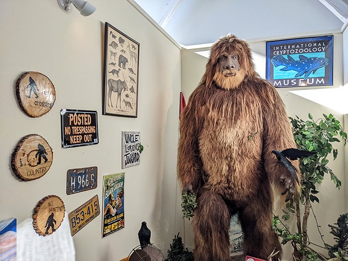 From Sasquatch to sea monsters, this treasure trove of cryptids will have you believing in the unbelievable. Who knew myth-busting could be so much fun?