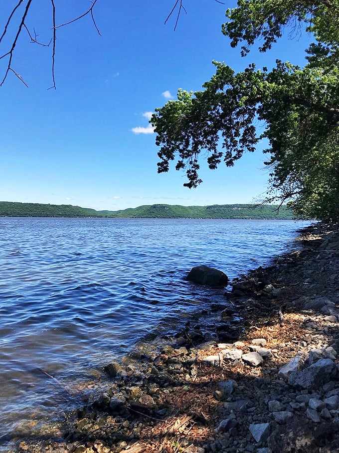 Frontenac's floral fireworks: When wildflowers bloom here, it's like Mother Nature decided to throw her own Coachella, minus the crowds and overpriced tickets.