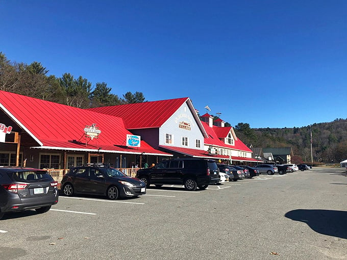 From kitschy to classy, the Vermont Antique Mall is a time-traveler's delight. Warning: May induce spontaneous "I remember when…"s.