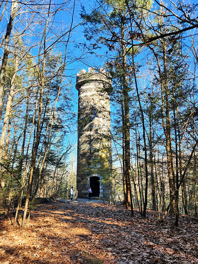 Retreat Tower: Brattleboro's stone sentinel. Climb for the view, stay for the 'I'm king of the world!' moment.