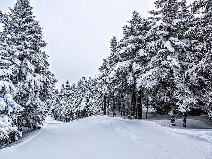 Mad River Glen: Where skiing goes old school. No frills, just thrills on nature's own snow.