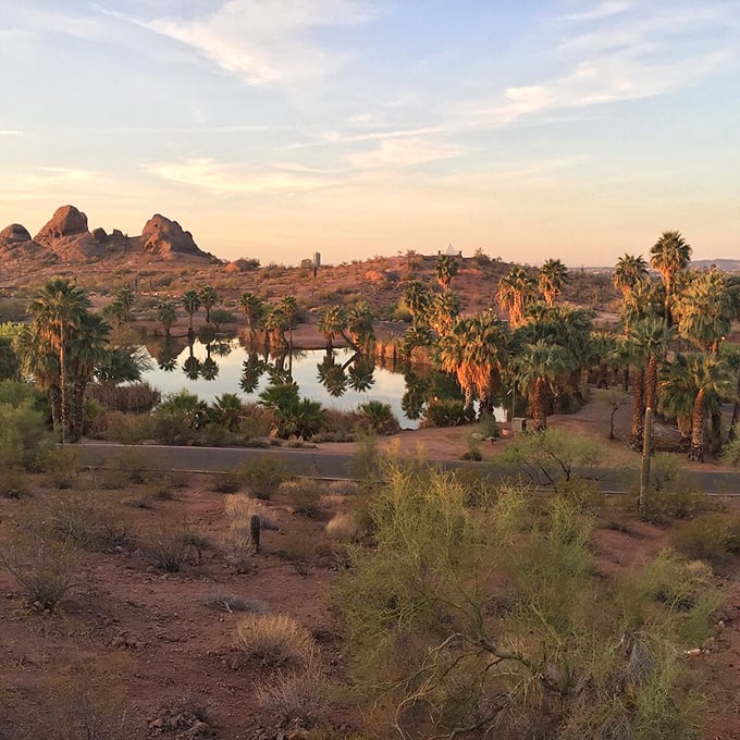 Sunset in the desert: where palm trees and buttes perform a daily dance, casting long shadows across the landscape like nature's own light show.