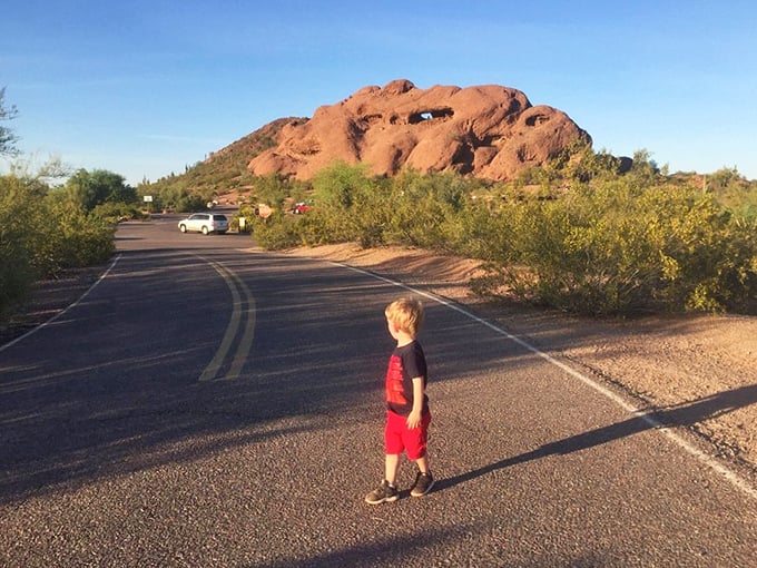 The road less traveled? Not today! Papago Park's scenic drive is like a red carpet for nature enthusiasts, complete with VIP seating for rock formations.