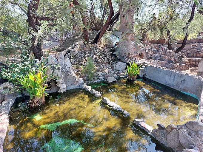 Who says deserts can't have oases? This serene pond is like a mirage come to life, minus the hallucinations and desperate crawling.