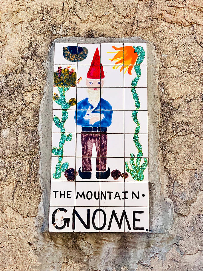 Meet the Mountain Gnome, the Southwest's answer to garden gnomes. He's traded his pointy hat for a sombrero and his fishing rod for a cactus.