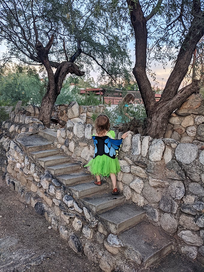 Stairway to... somewhere magical? These stone steps look like they were carved by industrious elves who traded the Black Forest for saguaros.