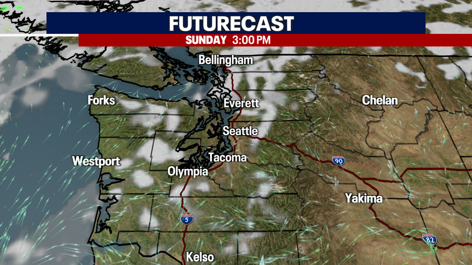 Seattle Forecast: Mild Weather Ahead with Light Rain on the Horizon