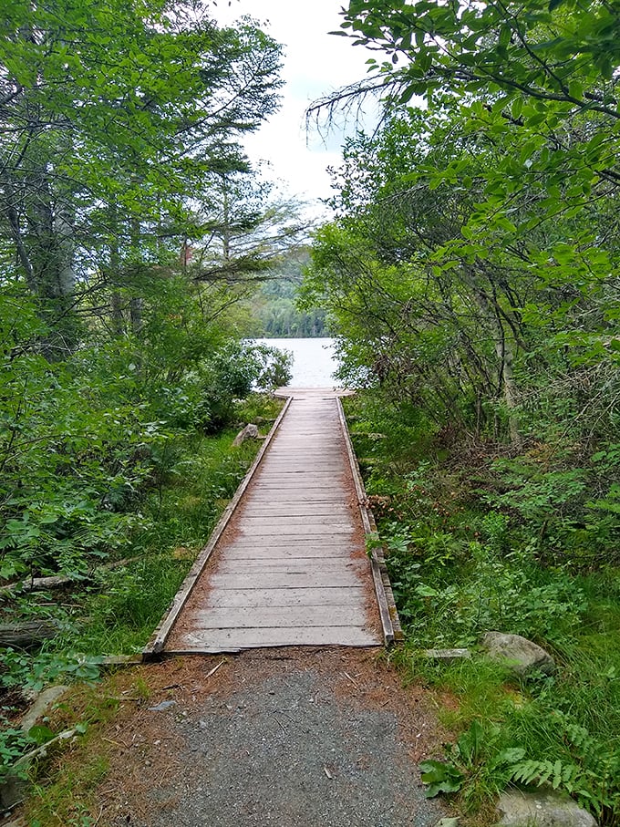 Nature's red carpet! This boardwalk invites you to stroll into a world where trees whisper secrets and the pond winks with promise.