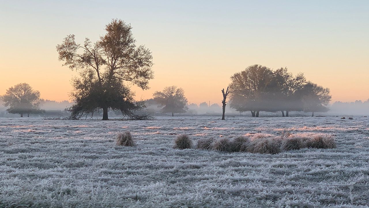 Chilly Mornings and Warm Afternoons: Tampa’s Must-See Weather Alert